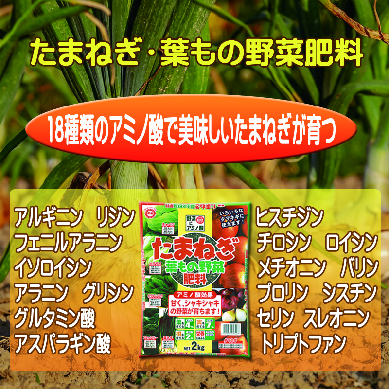 18種類のアミノ酸　たまねぎ葉もの野菜