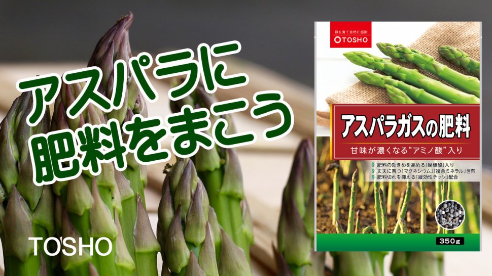 アスパラガスの肥料 製品情報 株式会社 東 商