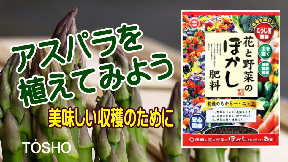 アスパラを植えてみよう~ぼかし肥料