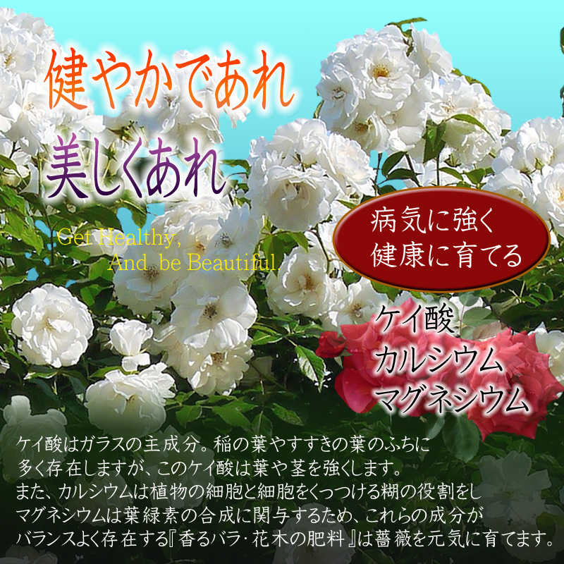 薔薇の肥料　説明③　健やかN