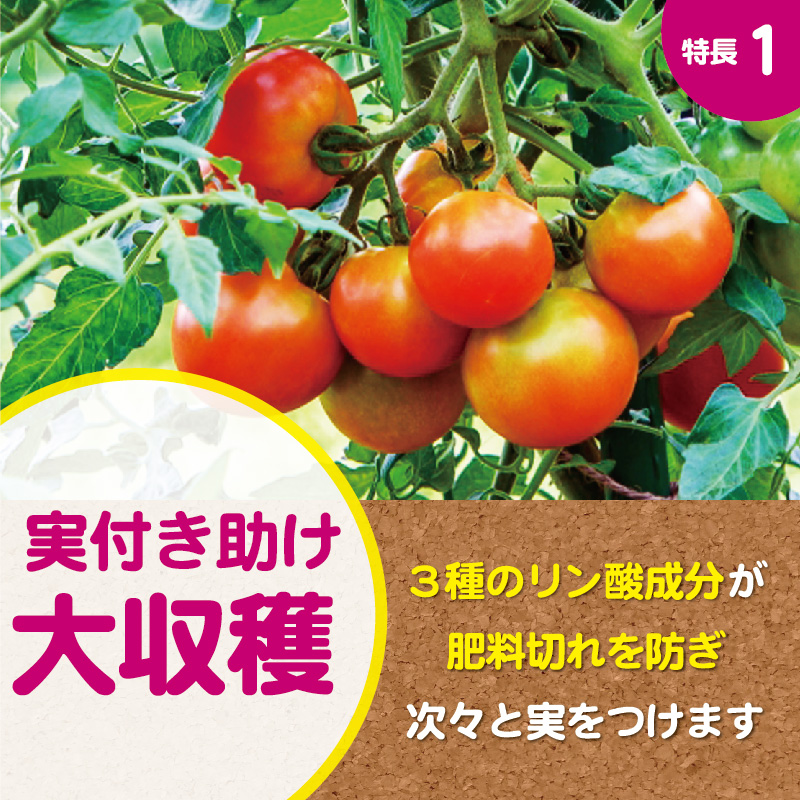 ナス科野菜の肥料 製品情報 株式会社 東 商