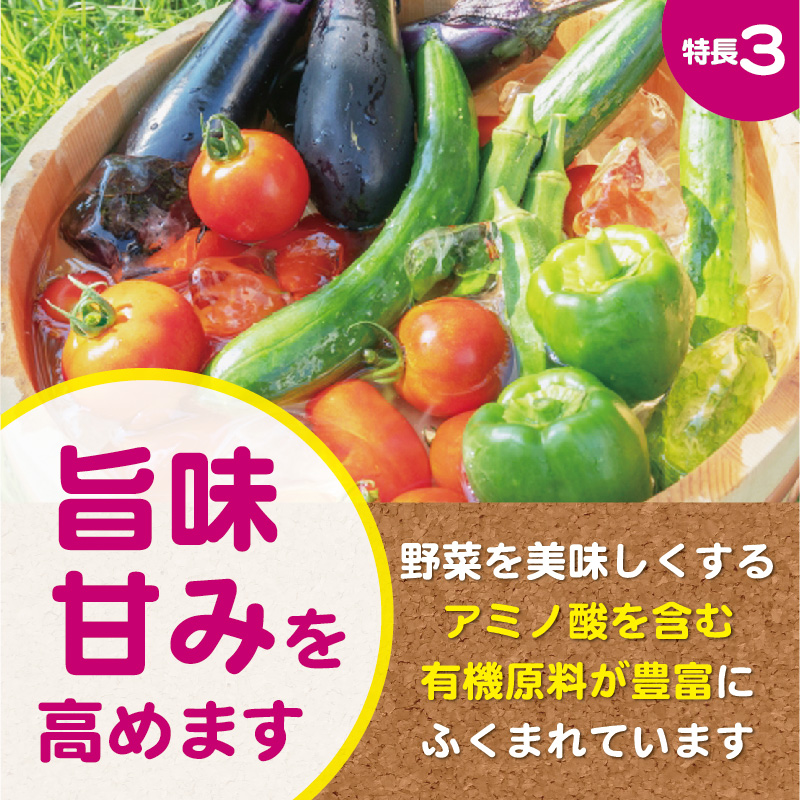 ナス科野菜の肥料-03
