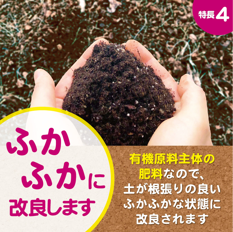 ナス科野菜の肥料-04