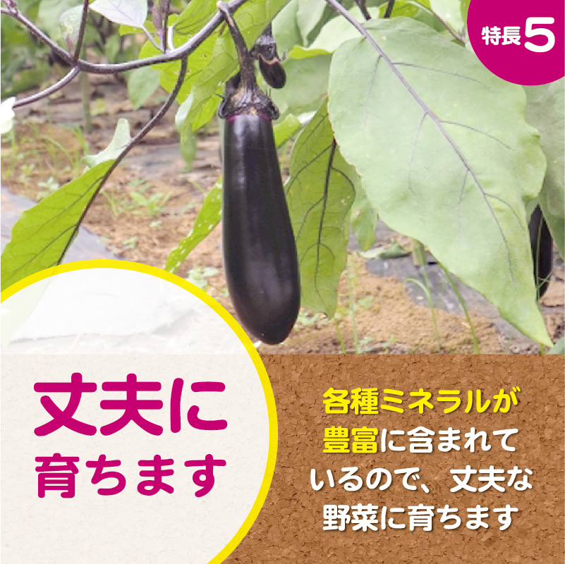 ナス科野菜の肥料-05