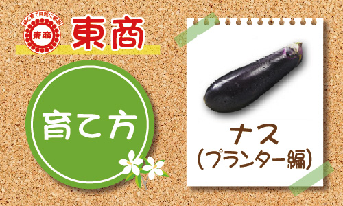 なすの育て方～プランター編