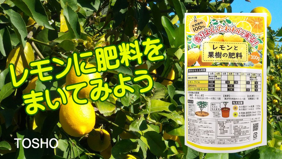 レモンと果樹の肥料 製品情報 株式会社 東 商