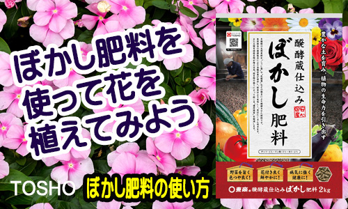 ぼかし肥料を使って植えてみよう～醗酵蔵仕込みぼかし肥料