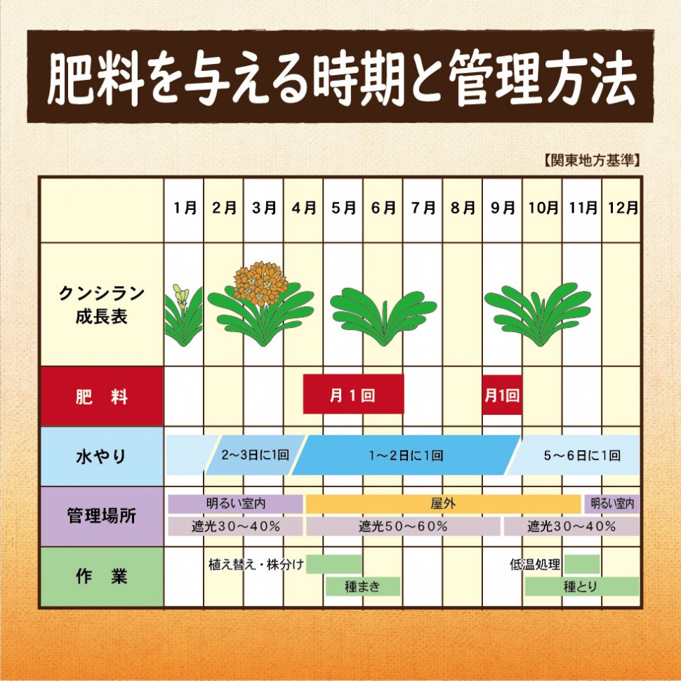 LP原稿_DCMクンシラン02-04