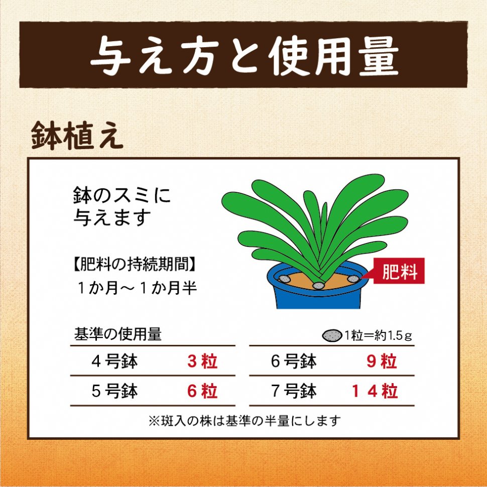 LP原稿_DCMクンシラン02-05