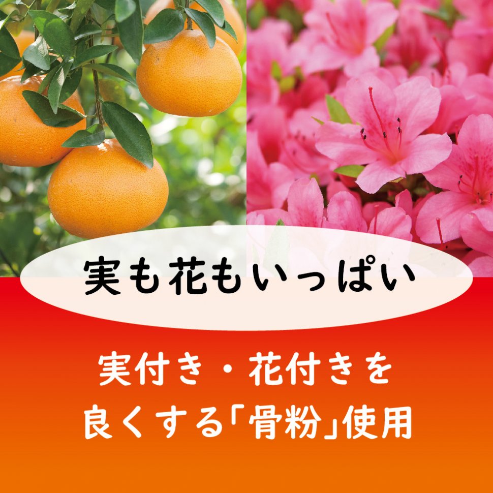 LP果樹・花木の肥料_01