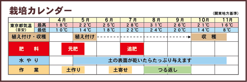 サツマイモ栽培カレンダー