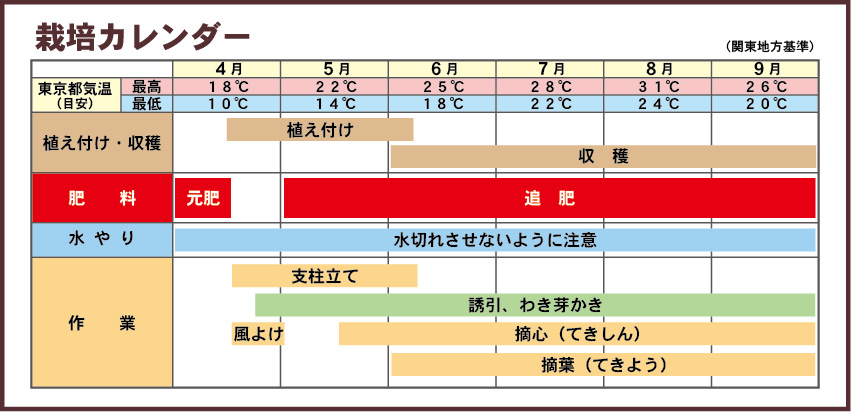 キュウリ栽培カレンダー