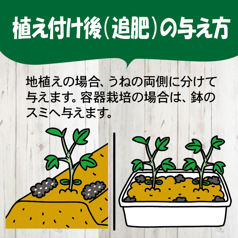 newなす・とまと・きゅうり肥料LP_与え方-02
