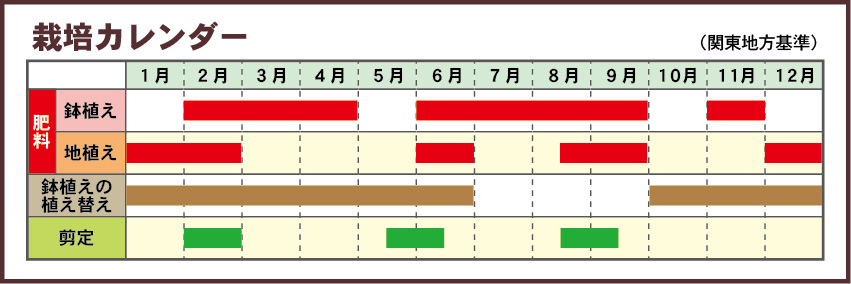 baracalendar