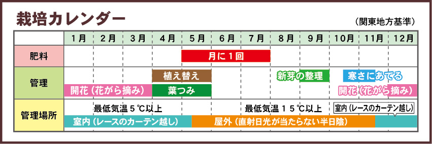 シャコバサボテン栽培カレンダー