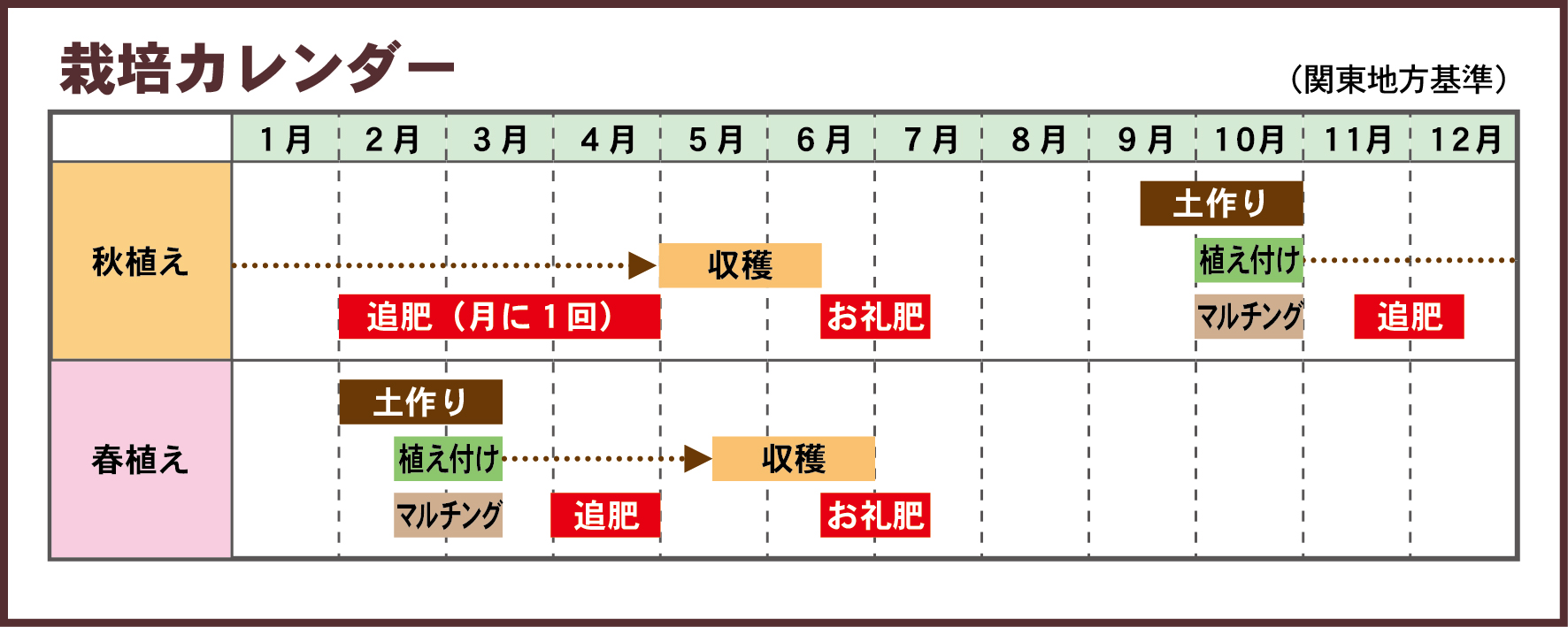 イチゴ栽培カレンダー02