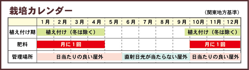 クリスマスローズ栽培カレンダー