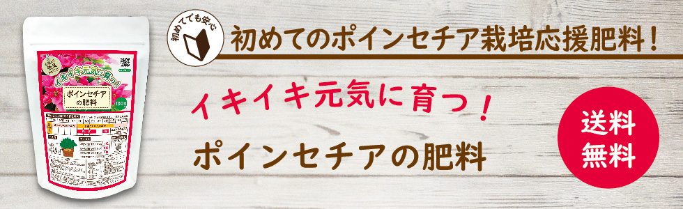 ぽっきりポインセチアの肥料リンクバナー