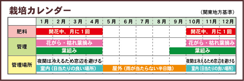 シクラメン栽培カレンダー