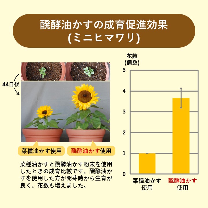 醗酵油かす粉末LP