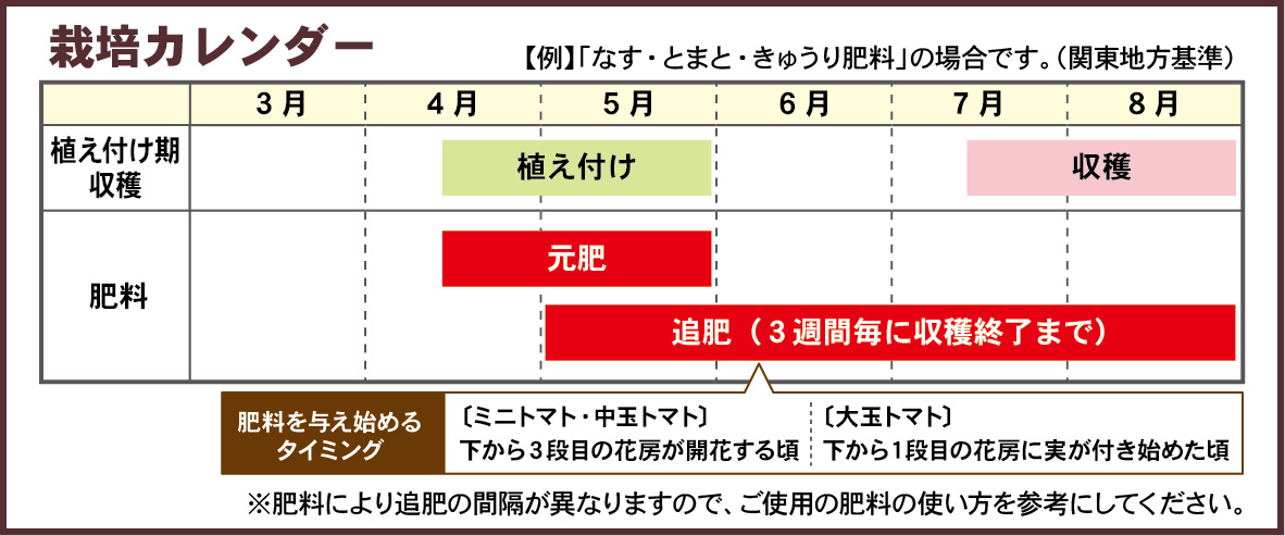 トマト栽培カレンダー