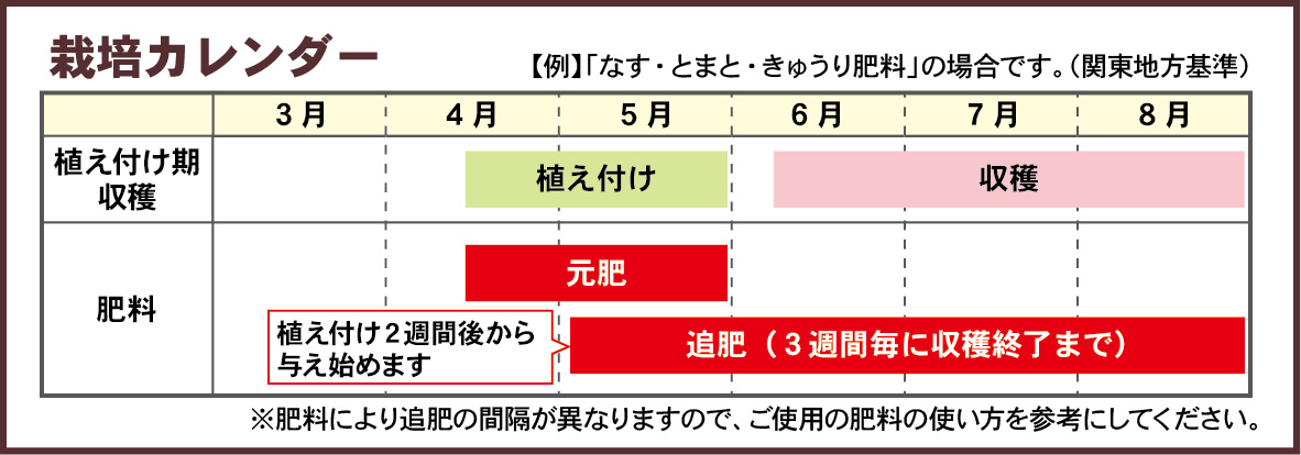 プランター編ナス栽培カレンダー