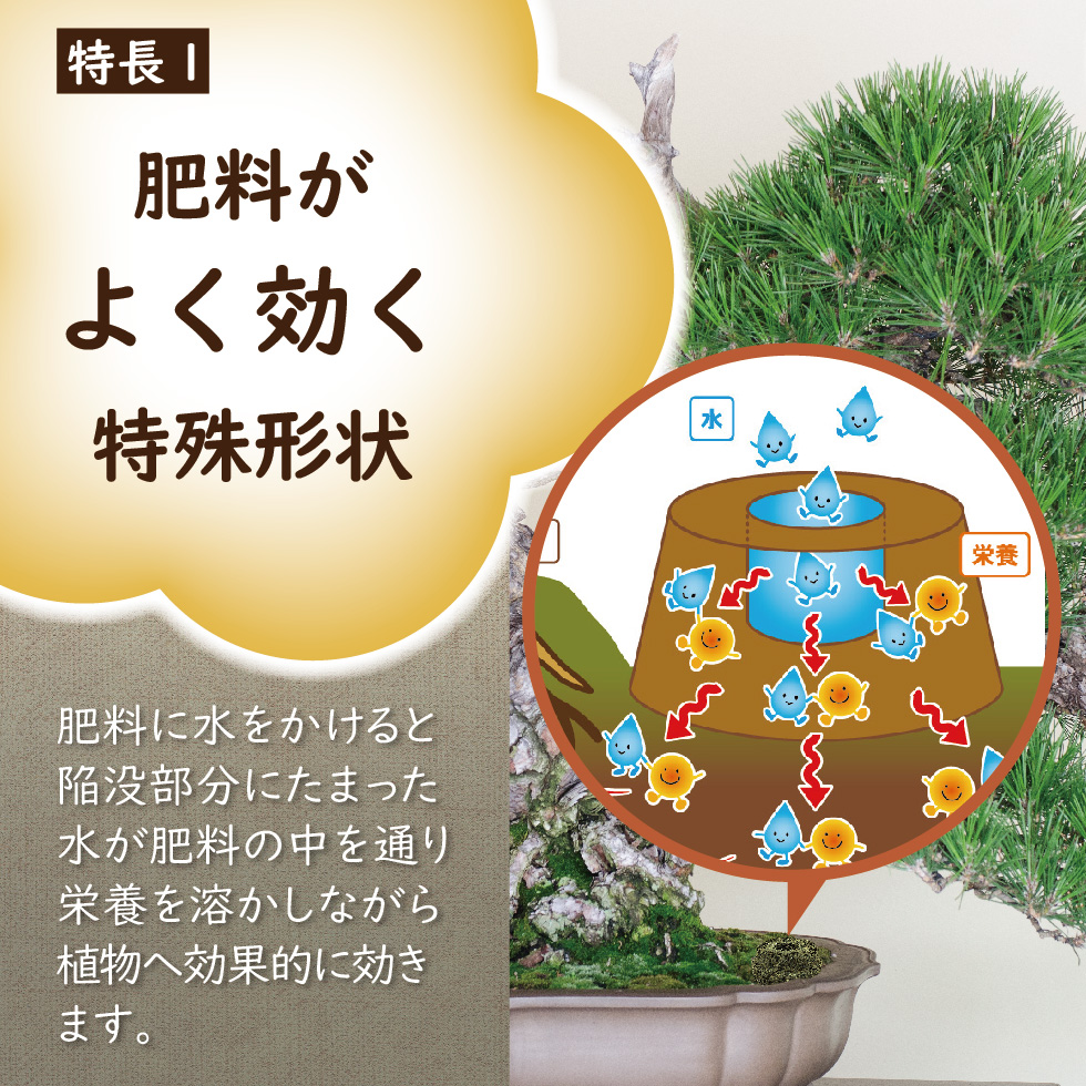lp_まんぞく-02