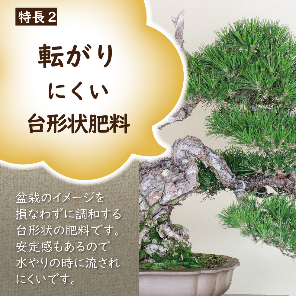 lp_まんぞく-03