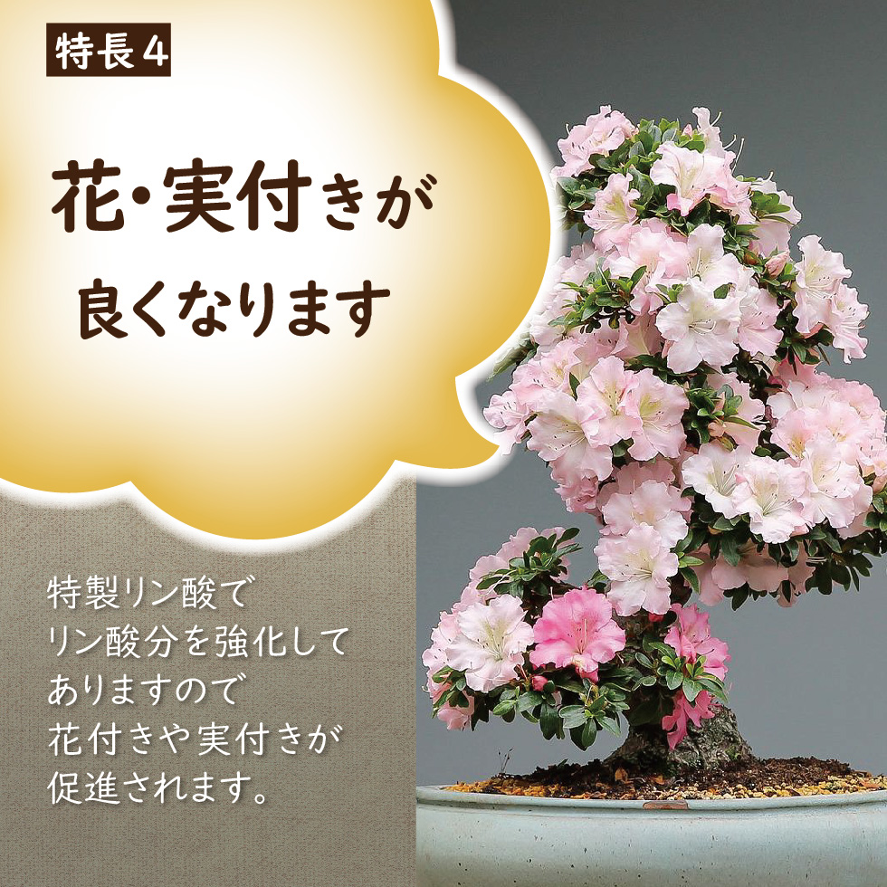 lp_まんぞく-05