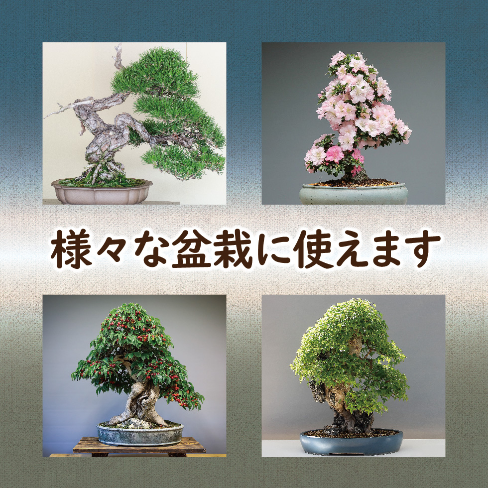 lp_まんぞく-07
