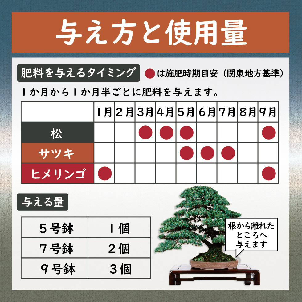 lp_まんぞく-08