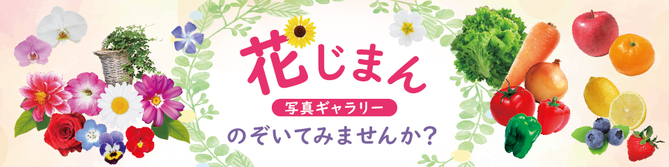 花じまんバナー_02TOP