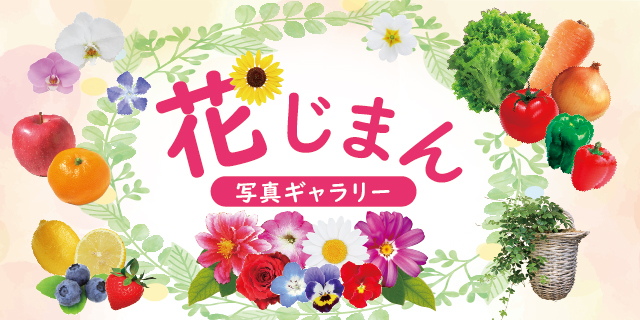 花じまんバナー_02PAGE-02