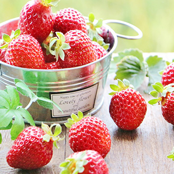 イチゴ前ページ写真