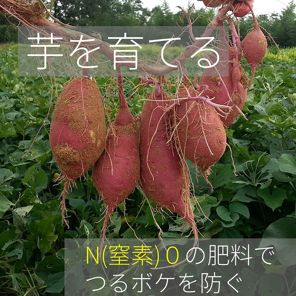 つるボケを防ぐ