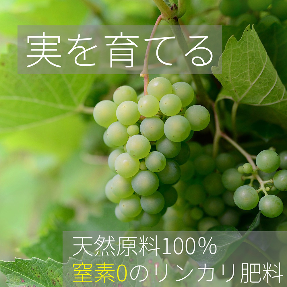 リンカリ肥料 らんまん 実を育てる