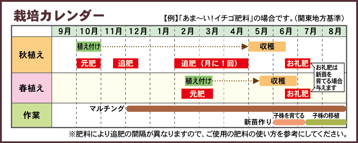 ichigo_planter_calender