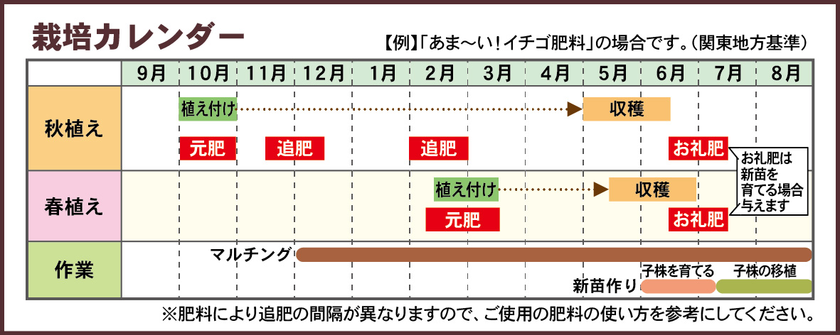 ichigo_saien_calender