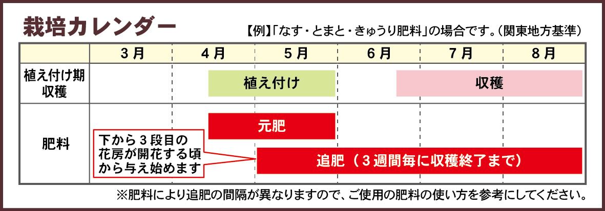 ミニトマト栽培カレンダー