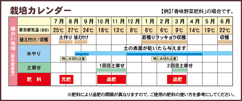 ラッキョウ栽培カレンダー