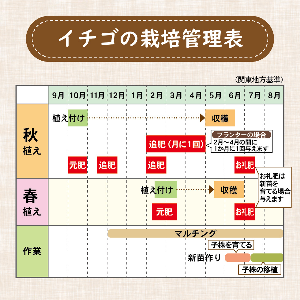 あま～いイチゴ1.5kg_LP-01