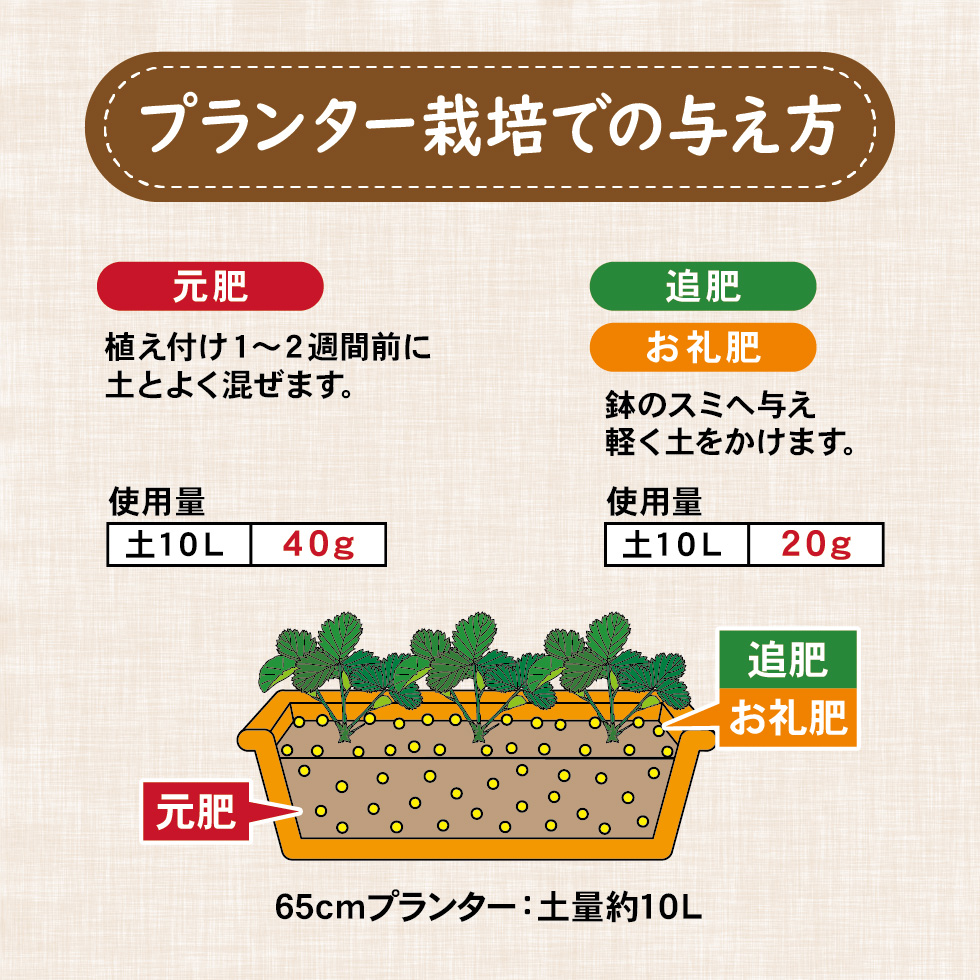 あま～いイチゴ1.5kg_LP-04