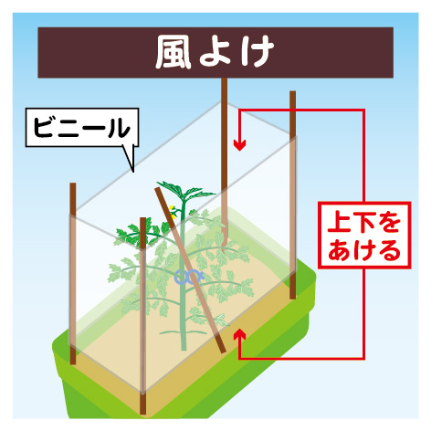 tomato_planter07