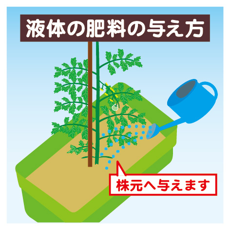 tomato_planter10