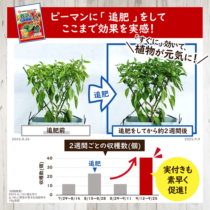 研究結果_野菜が実る化成肥料