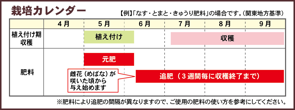 ゴーヤ栽培カレンダー