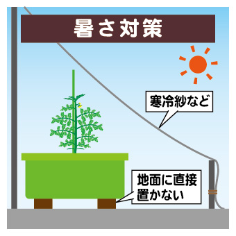 tomato_planter08-02