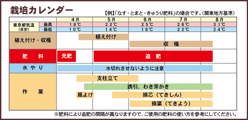 キュウリ栽培カレンダー