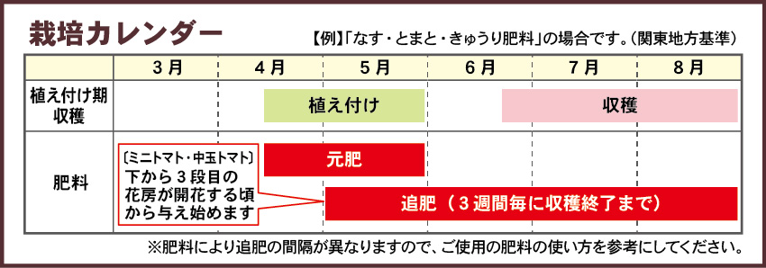 ミニトマト中玉トマト栽培カレンダー