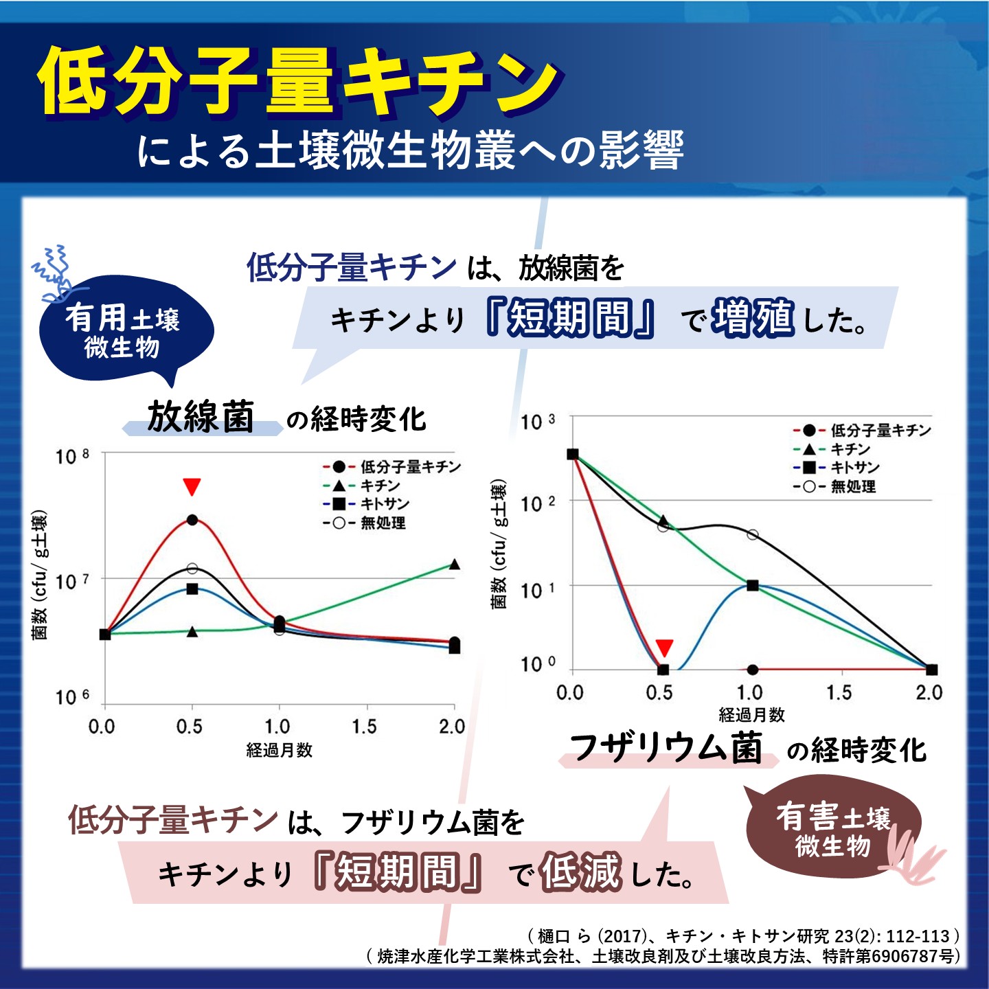 LMC添加による土壌微生物叢への影響20260216